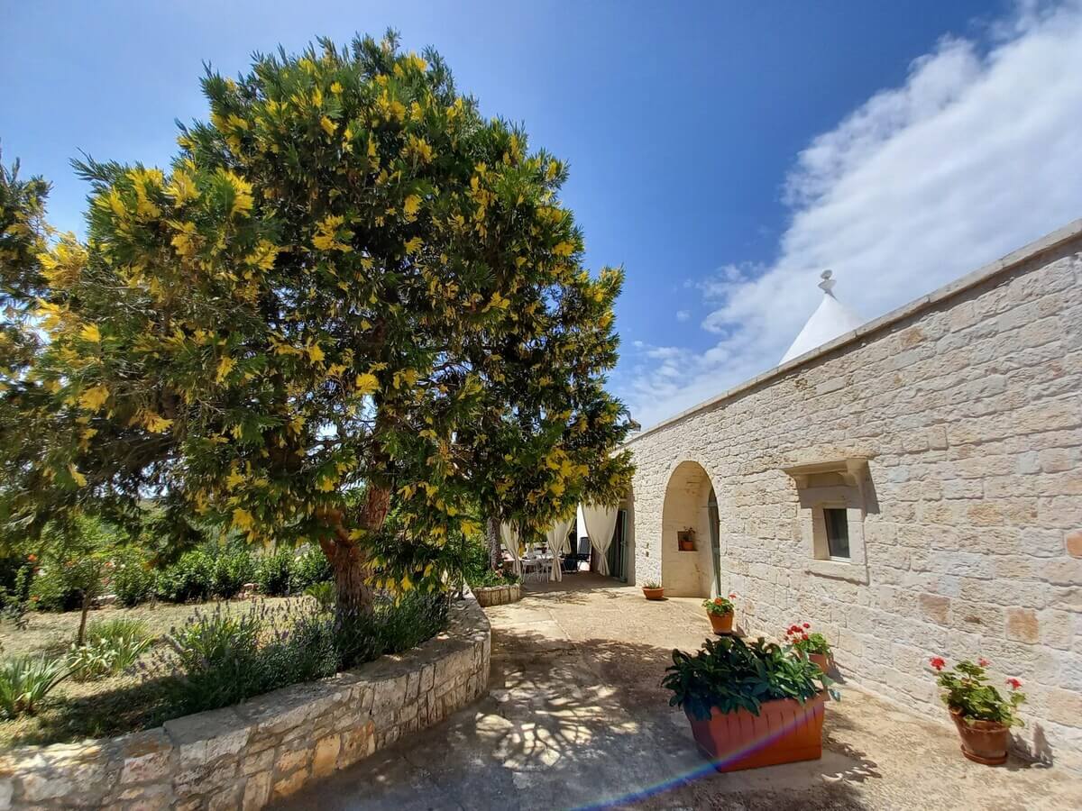 Journey Through Traditional Cuisine